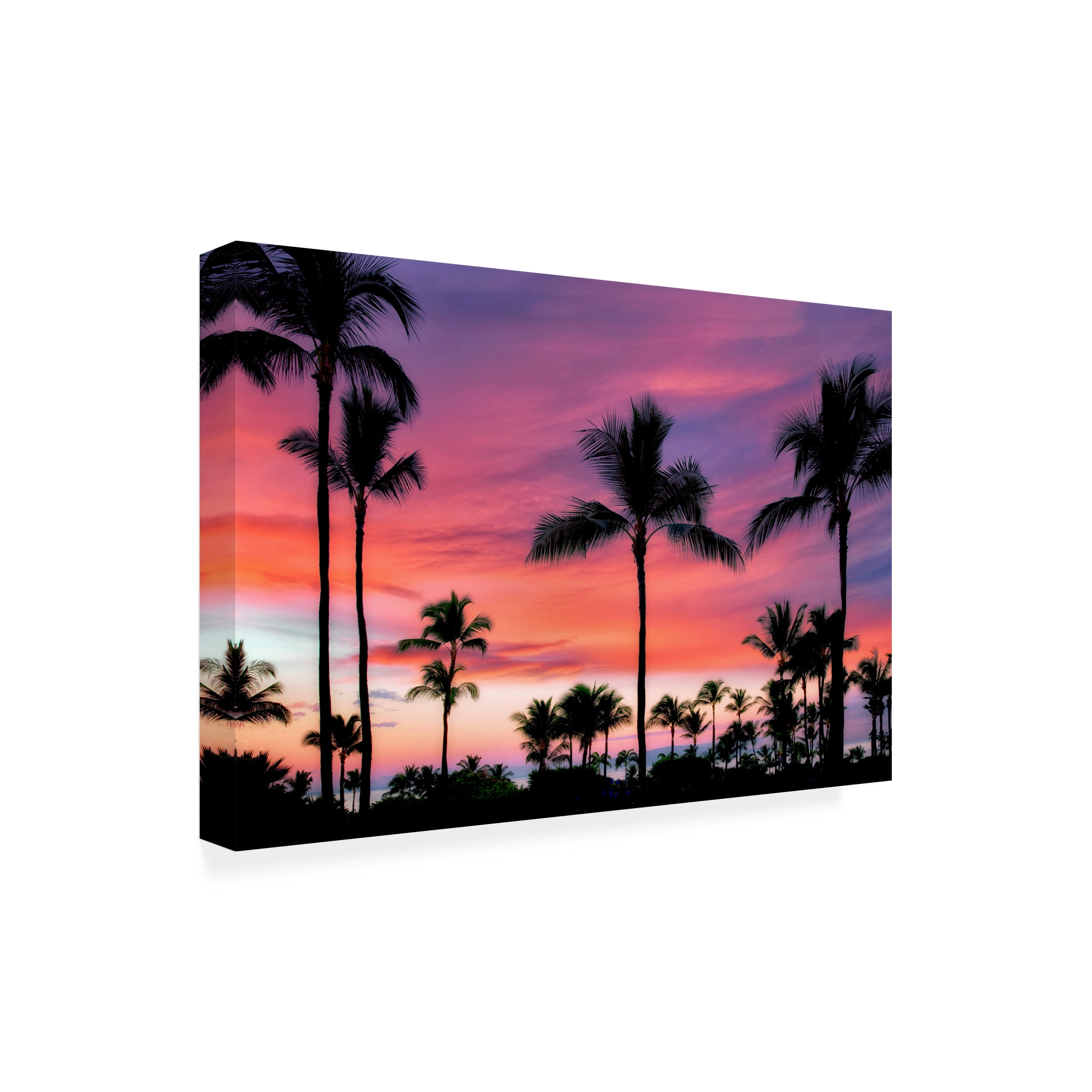Dennis Frates 'Palms 2' Canvas Art