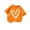 C-Orange, variant on Fengactive Kids Crew Neck Short Sleeve Tee for Boys Girls Floral Graphic Print Casual Versatile Fashion Summer Shirts 2-11T