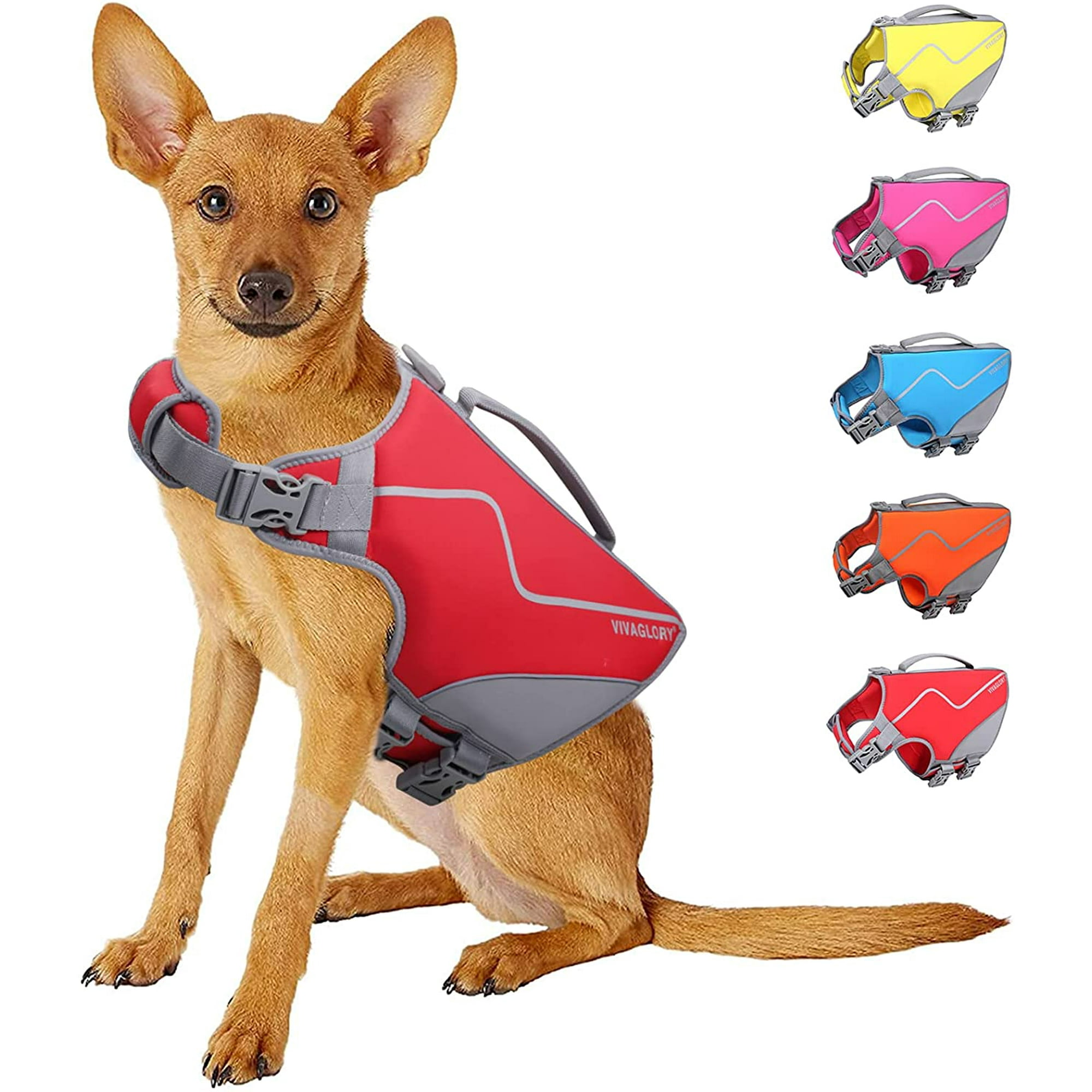 How Do I Measure My Dog For A Life Jacket
