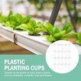 thumbnail image 3 of Kit de cultivo de hongos con cesta para plantar, plantas aéreas, macetas transparentes, jardín hidropónico aerodinámico, 3 of 6