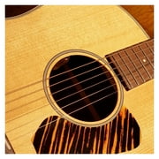 LR Baggs Element Active System Undersaddle Acoustic Pickup