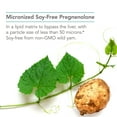 thumbnail image 4 of NutriCology Pregnenolone 50 mg - Hormone and Memory Support - 60 Scored Tablets, 4 of 7
