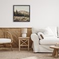thumbnail image 3 of Stupell Industries Southwestern Cedar Mountain View Black Floating Frame Canvas Art, 18 x 18, by Petals Prints Design, 3 of 8