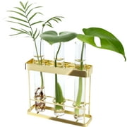 J JACKCUBE DESIGN Wall Hanging 3 Glass Tube Planter Terrarium with Gold Metal Stand Rack Holder for Propagating Hydroponics Plants Home Dcor- MK671A