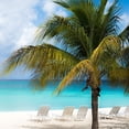 thumbnail image 2 of Bill Carson Photography 20x20 Black Ornate Wood Framed with Double Matting Museum Art Print Titled - Relaxing Beach Square, 2 of 4