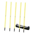 thumbnail image 1 of Lipstore Agility Training Pole with Spring Base: A portable pole perfect for soccer speed Style B, 1 of 8