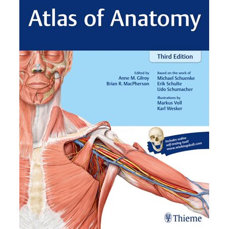 UPC: 9781626232525 | Atlas of Anatomy  9781626232525  Paperback  3