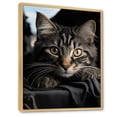 thumbnail image 2 of Designart "Feline Gaze IV" Animals Floater Framed Canvas Print, 2 of 7