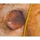 thumbnail image 2 of Manta redonda de forro polar Toynk con chispas de chocolate y galletas, 2 of 7