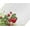Strawberry Plants, variant on Strawberry Plants Placemats Set of 4 Table Mats Washable Placemat Waterproof Place Mats for Party Home Dining Table Decor 18x12 in
