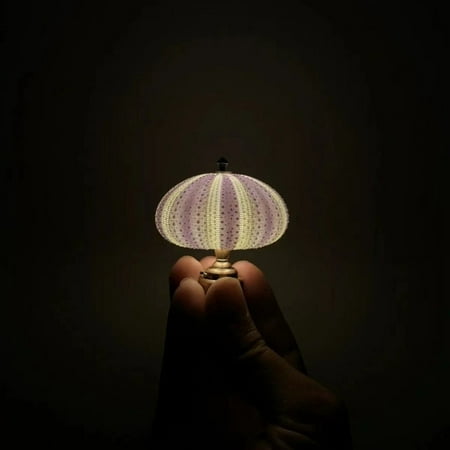 

Night Lights for Kids Boys Room Decorations for Bedroom Sea Urchin Night Light Funny Beach Theme Night Light Animal Night Light Creative Bedside Lamp Models Mini Retro Sea Urchin Night Light