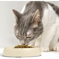 thumbnail image 4 of CatGuru Cat Bowls, Whisker Stress Free Cat Food Bowl, Reliefs Whisker Fatigue, Wide Cat Bowl, Non Slip Cat Food Bowls, Shallow Cat Dish, Cat Feeding & Watering Supplies (Set of 2, Sand), 4 of 7