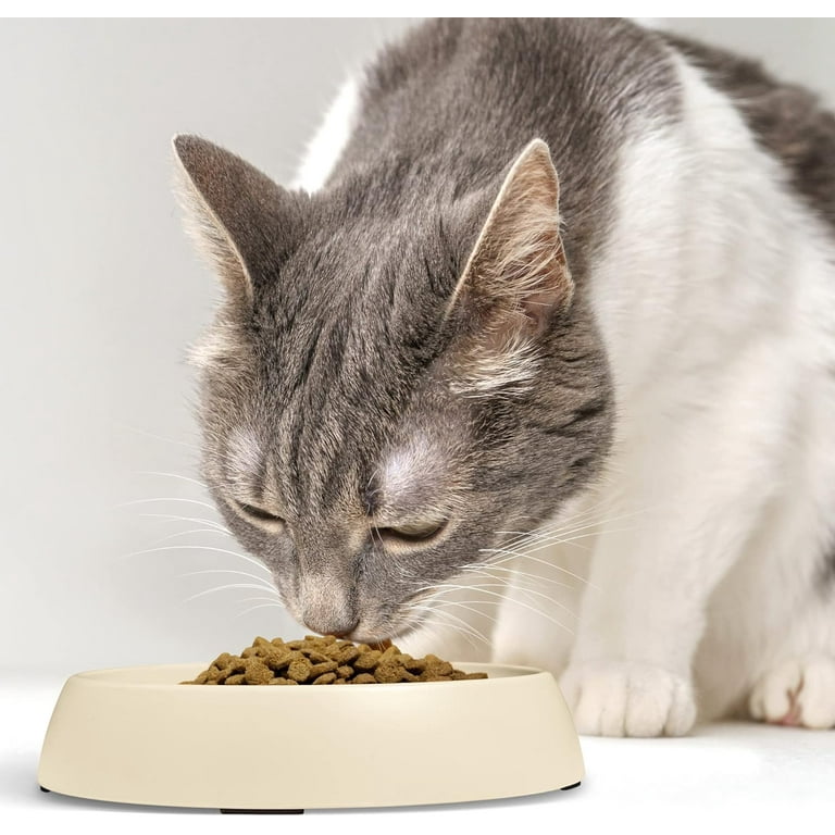 Whisker stress bowl sale