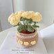 thumbnail image 2 of Kit Crochet en Maceta Flores Diy Plantas Lindas Herramienta Mano (rosa Ligera) Amarillo, 2 of 9