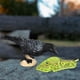 thumbnail image 1 of Juguetes Educativos CUTICAT Animales de Granja Decoración de Escenas de Jardín, 1 of 5