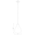 thumbnail image 2 of Z-Lite 1 Light Pendant, 2 of 8