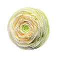 thumbnail image 2 of Clip de ventilación con flores artificiales, adorno único para decoración de interiores de automóviles, mini, reutilizable Verde, 2 of 9