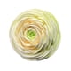 thumbnail image 2 of Mini Clip de ventilación para aire acondicionado de coche, adorno de flores, Clip de salida de aire acondicionado para coche, accesorios para coche Verde, 2 of 8