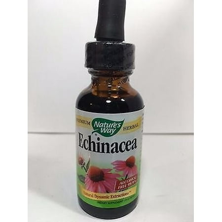 Kids Echinacea Purpurea Tincture - Nature's Way Echinacea Purpurea Herb Liquid, 1 Fl Oz