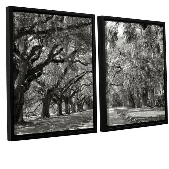 ArtWall Steve Ainsworth "Live Oak Avenue" 2-Piece Floater Framed Canvas Set