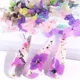 thumbnail image 2 of Naturaleza Muerta Decoración Uñas Flores Hojas Secas, Uñas, 2 of 5