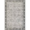 thumbnail image 1 of Dynamic Rugs PE463740190 3 Pi 6 Po x 5 Pi 6 Po Nacre 3740 Rectangle Zone de Transition Tapis - 190 Gris Clair, 1 of 1