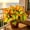 D, variant on Butterfly Flower Iris for planting-Home Decoration-Beautiful Gift Garden-Premium Garden Stakes-Bloom Year After Yea-Home Decoration-Beautiful Gift Gardenr-(Non-Artificial)