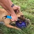 thumbnail image 3 of Unatoiry Trainer Pet Break Stick Animal Training Anti-bite Professional Handheld Bar Portable Control Household Rod Equipment, 3 of 6