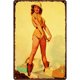 thumbnail image 2 of Placa De Mujer Sexy Vintage, Placa De Metal Retro, Cartel De Estaño, Pintura, Accesorios Para El Hogar Likrtyny Arte Deco, 2 of 9