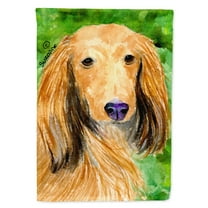 Caroline's Treasures SS8790-FLAG-PARENT Dachshund Flag, , multicolor