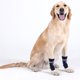 thumbnail image 4 of BESTYASH 4Ud Calcetas Para Perros Antideslizantes Azul Protector De Patas Mascotas Cómodo Y, 4 of 6