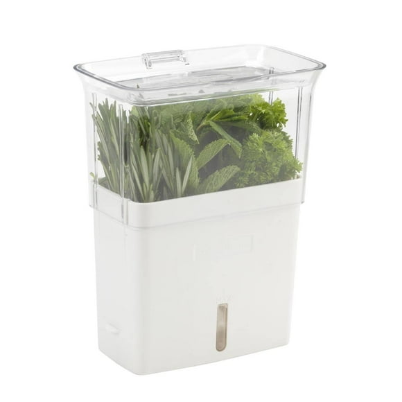 Cole & Mason Pot de Conservation pour Herbes Fraîches - Récipient de Stockage Alimentaire pour Herbes Fraîches - Stockage au Réfrigérateur pour Herbes - Récipient, Transparent