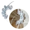 thumbnail image 2 of Giaone Stylish Acrylic Hair Claw Sweet Girl Grab Clip Ribbon Tied Bowknot Hair Clips, 2 of 17