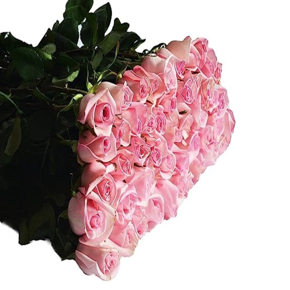 KaBloom :100 Pink Roses, Next-Day Delivery, Gift for Every Occasion.