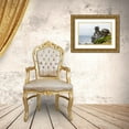 thumbnail image 3 of Su, Keren 18x13 Gold Ornate Wood Framed with Double Matting Museum Art Print Titled - Cormorants and seagulls on rock pile-Kolyuchin Island-once an important Russian Polar Research Stat, 3 of 4
