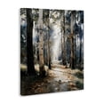 thumbnail image 2 of Stupell Industries Farmhouse Path in Autumn Light Canvas Art, 16 x 20, by Franklyn Gregory, 2 of 8