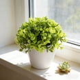 thumbnail image 5 of zhangmingg Bonsai Tree Miniature Potted for Home Desk, 5 of 5