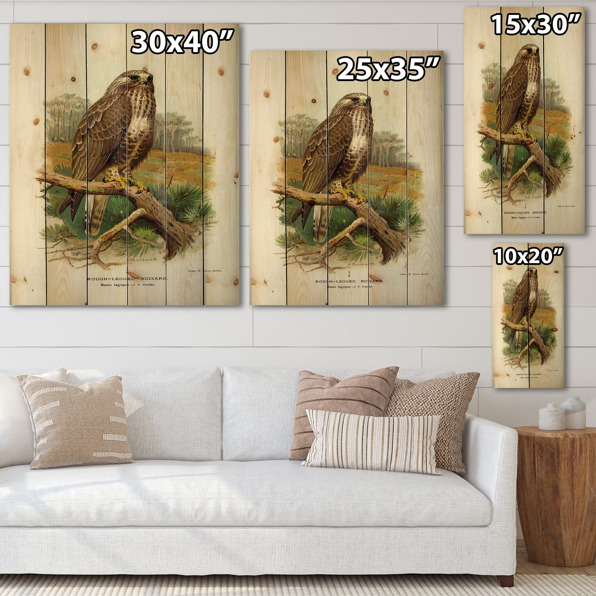 Designart 'Ancient Bird Life IX' Traditional Print on Natural Pine Wood