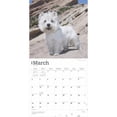 thumbnail image 3 of West Highland White Terriers 2025 12 X 24 Inch Monthly Square Wall Calendar Plastic-Free (Wall), 3 of 9