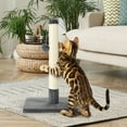 thumbnail image 6 of Tall Cat Scratch Post with Natural Sisal Rope and Hanging Ball, 6 of 8