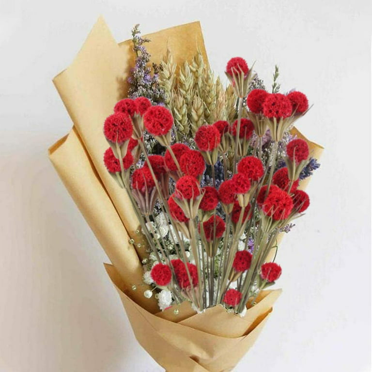 Small Red and White Dried Flower Arrangement Red Flower Bouquet Red Dry  Florals Mini Bunch Dry Flowers New Home Decor Gifts for Her 