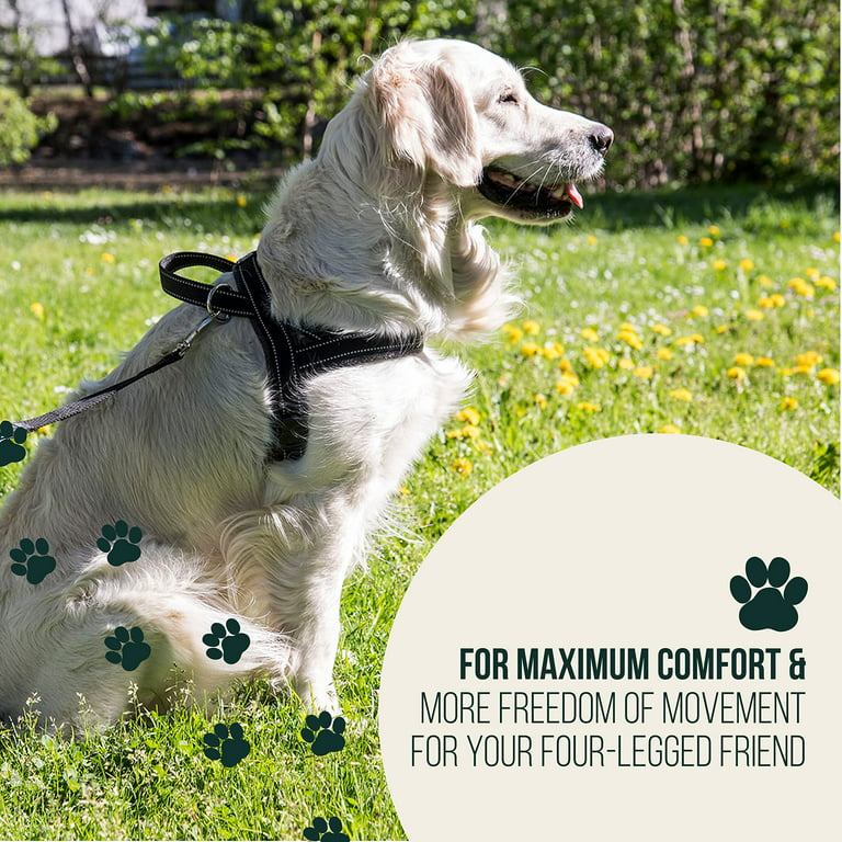Happilax Norwegian No Pull Dog Harness for Medium to Large Dogs