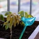 thumbnail image 4 of 2 Unids Planta Waterer Bird/Bola Forma PVC Riego Por Goteo Dispositivos Automático (A), 4 of 9