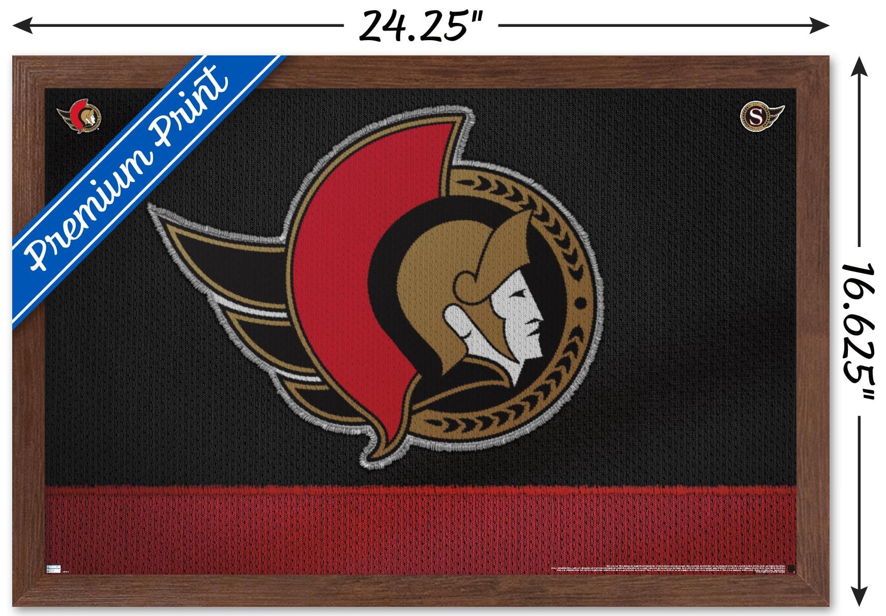 NHL Ottawa Senators - Logo 20 Wall Poster, 14.725" x 22.375", Framed