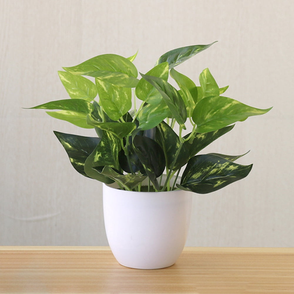 Limei Mini Fake Succulent Plants Artificial Plastic Succulents Potted Faux Eucalyptus Plants for Home Office Table Decoration (White Plastic Pots)