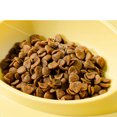 thumbnail image 3 of Automatic Cat Water Dispenser Set, Avocado Shape Cat Bowl Cervical Vertebra Protection Cute Large Caliber Removable  for Kittens for Cats Green,Gray, 3 of 3