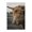 Highland Cattle Portrait_v6, variant on Stupell Industries Farmhouse Cattle Gazing Portrait Gray Floating Frame Canvas Art, 25 x 31, by Dakota Diener
