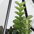 thumbnail image 2 of hometrends  Succulent Terrarium, 2 of 5