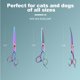 thumbnail image 5 of Set de aseo para perros Scissors GLADOG, 7 pulgadas, 5 en 1, de titanio, 5 of 5
