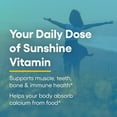 thumbnail image 4 of Natural Factors Vitamin D3 5000 IU (125 mcg), Supports Strong Bones, Muscles and Immune Function, 240 Softgels, 4 of 8